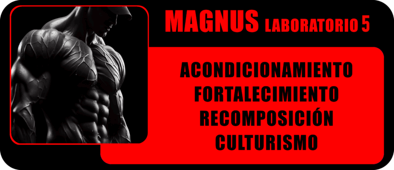 magnus laboratorio 5